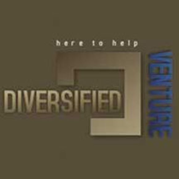 diversified500